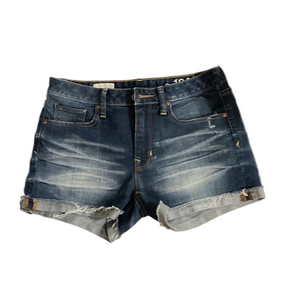 GAP 1969 Classic Blue Denim Shorts